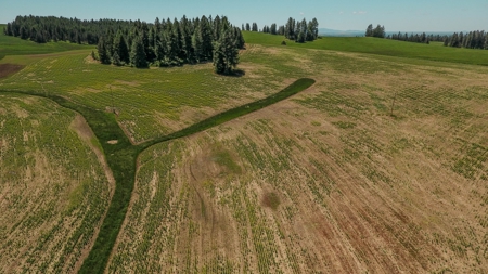 Farm & Ranch w. Country Home For Sale in North Central Idaho - image 22