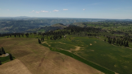 Farm & Ranch w. Country Home For Sale in North Central Idaho - image 15