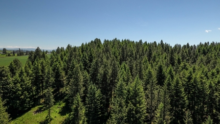 Farm & Ranch w. Country Home For Sale in North Central Idaho - image 23