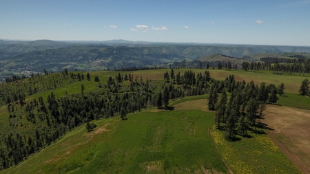 Farm & Ranch w. Country Home For Sale in North Central Idaho - image 8