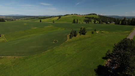Farm & Ranch w. Country Home For Sale in North Central Idaho - image 17