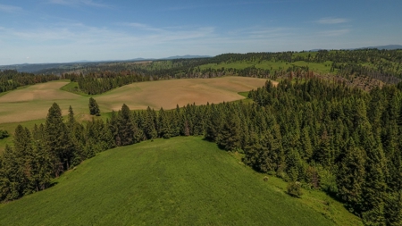Farm & Ranch w. Country Home For Sale in North Central Idaho - image 28
