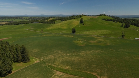 Farm & Ranch w. Country Home For Sale in North Central Idaho - image 20