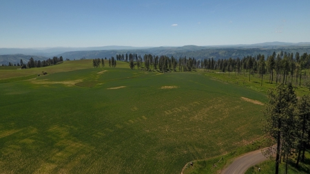 Farm & Ranch w. Country Home For Sale in North Central Idaho - image 11