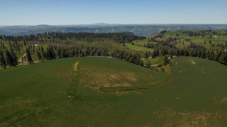 Farm & Ranch w. Country Home For Sale in North Central Idaho - image 19