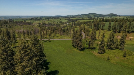 Farm & Ranch w. Country Home For Sale in North Central Idaho - image 18