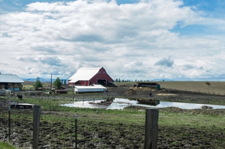 Farm & Ranch w. Country Home For Sale in North Central Idaho - image 48
