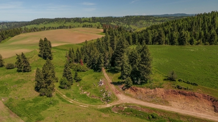 Farm & Ranch w. Country Home For Sale in North Central Idaho - image 27