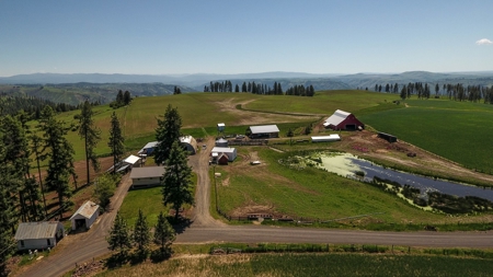 Farm & Ranch w. Country Home For Sale in North Central Idaho - image 1