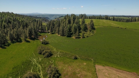 Farm & Ranch w. Country Home For Sale in North Central Idaho - image 25