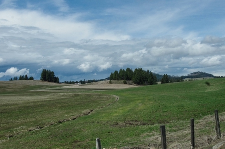 Farm & Ranch w. Country Home For Sale in North Central Idaho - image 49