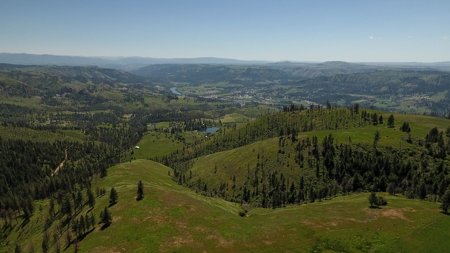 Farm & Ranch w. Country Home For Sale in North Central Idaho - image 7
