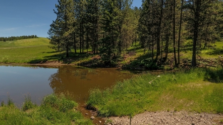 Farm & Ranch w. Country Home For Sale in North Central Idaho - image 26