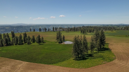 Farm & Ranch w. Country Home For Sale in North Central Idaho - image 13