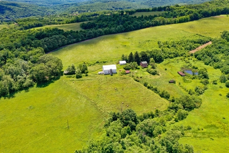 Mount Savage MD Farm for Sale - image 7