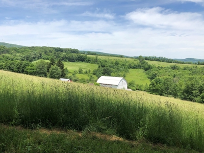 Mount Savage MD Farm for Sale - image 8