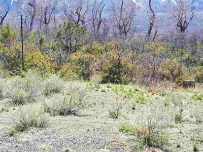 Colorado Mountain Development Land for Sale - image 2