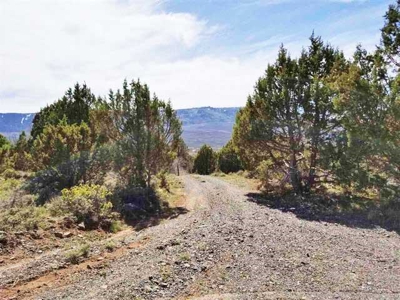 Colorado Mountain Development Land for Sale - image 4