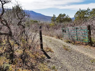 Colorado Mountain Development Land for Sale - image 5