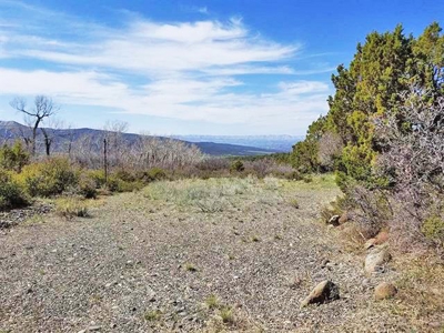 Colorado Mountain Development Land for Sale - image 6