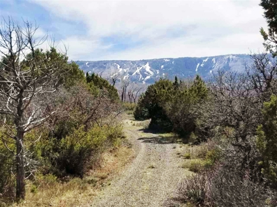 Colorado Mountain Development Land for Sale - image 1
