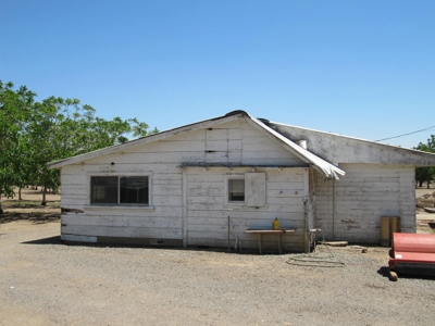 Northern CA Income Producing Walnut Orchards for Sale - image 12