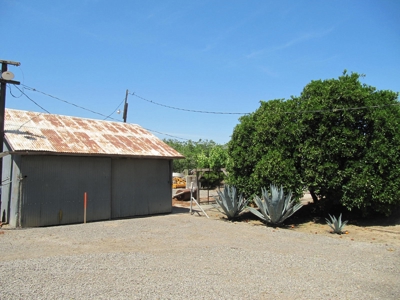 Northern CA Income Producing Walnut Orchards for Sale - image 17