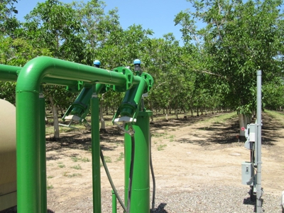 Northern CA Income Producing Walnut Orchards for Sale - image 4
