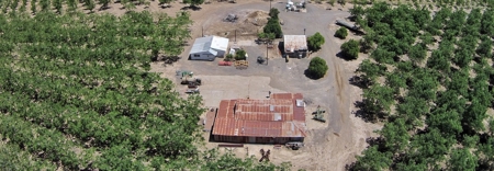 Northern CA Income Producing Walnut Orchards for Sale - image 3