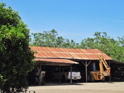 Northern CA Income Producing Walnut Orchards for Sale - image 25