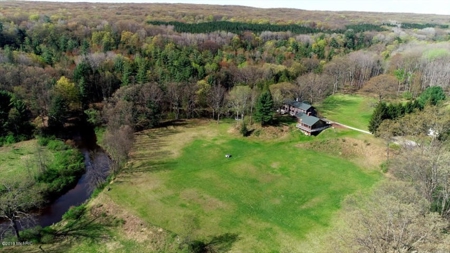 Pere Marquette Riverfront Home For Sale in Mason County, MI - image 9