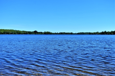 Waterfront Cabin on Rush Lake  Atlanta MI - image 4