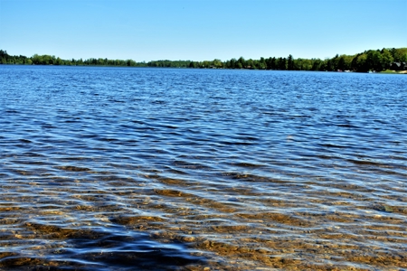 Waterfront Cabin on Rush Lake  Atlanta MI - image 26