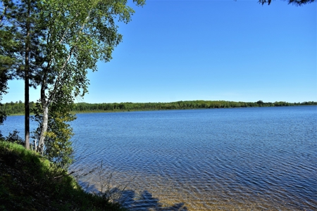 Waterfront Cabin on Rush Lake  Atlanta MI - image 1