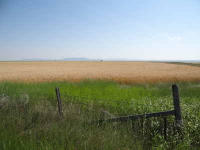 Central Montana Farm Land Auction - image 14