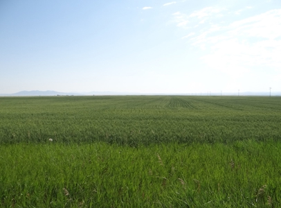 Central Montana Farm Land Auction - image 19