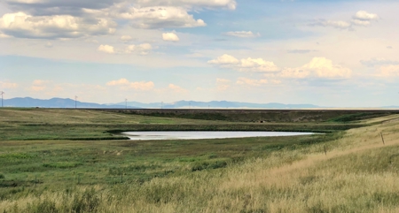 Central Montana Farm Land Auction - image 6