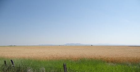 Central Montana Farm Land Auction - image 2