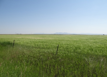 Central Montana Farm Land Auction - image 18