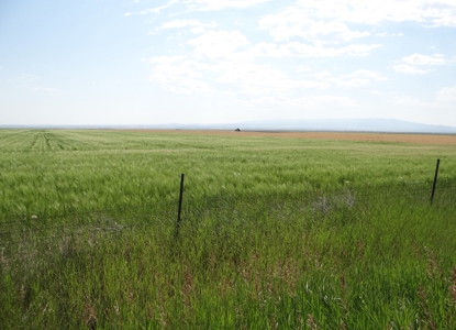 Central Montana Farm Land Auction - image 17