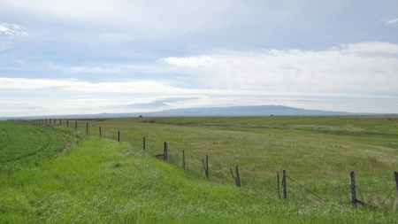 Central Montana Farm Land Auction - image 9
