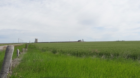 Central Montana Farm Land Auction - image 20