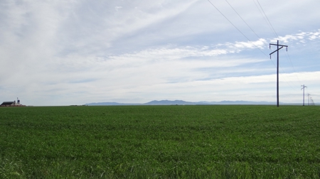 Central Montana Farm Land Auction - image 10