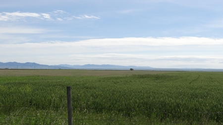 Central Montana Farm Land Auction - image 13