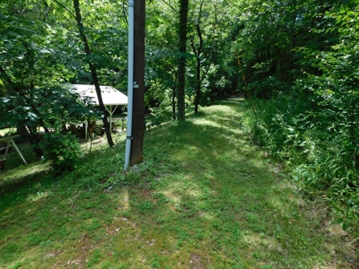Little Switzerland Jasper Newton County For Sale - image 35