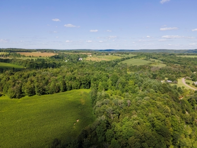 Productive Farm Land,Excellent  Deer  Hunting,Recreational - image 32