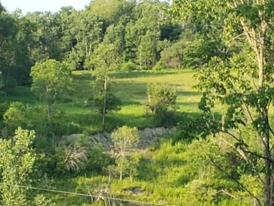Productive Farm Land,Excellent  Deer  Hunting,Recreational - image 17