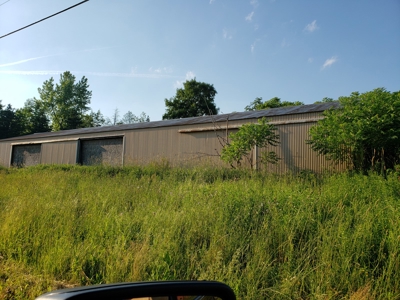 Productive Farm Land,Excellent  Deer  Hunting,Recreational - image 3