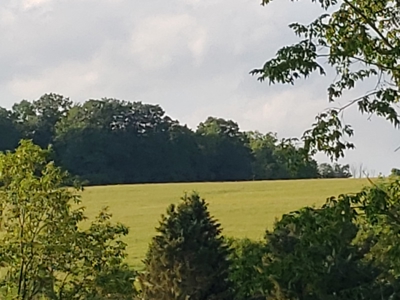 Productive Farm Land,Excellent  Deer  Hunting,Recreational - image 12