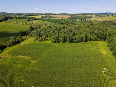 Productive Farm Land,Excellent  Deer  Hunting,Recreational - image 35